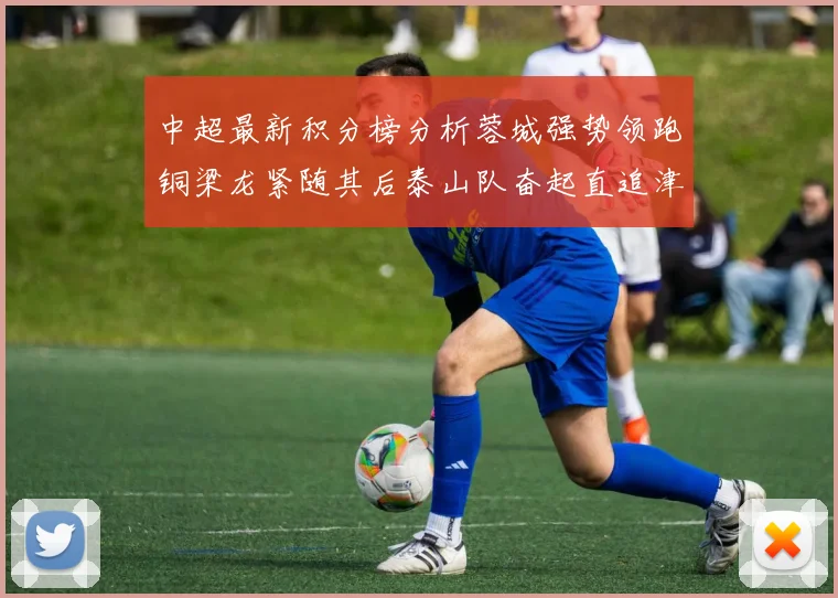 中超最新积分榜分析蓉城强势领跑铜梁龙紧随其后泰山队奋起直追津门虎仍需努力